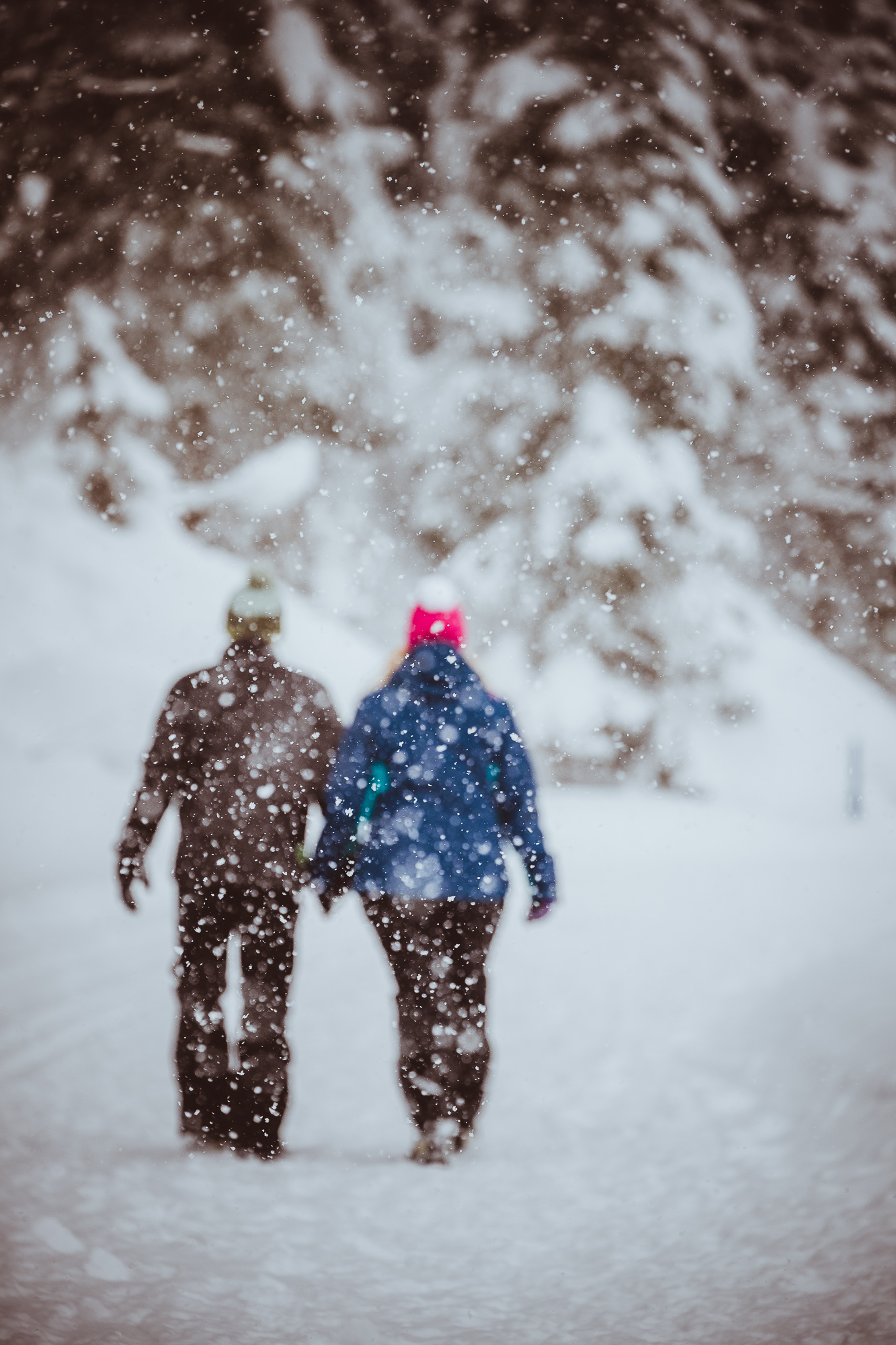 Export x3 1DX29366 Verlobungsfotoshooting 2018 Anna & Dominik